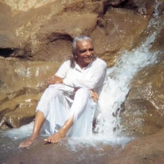 “Asanas keep the body in harmony with nature.”  – BKS Iyengar