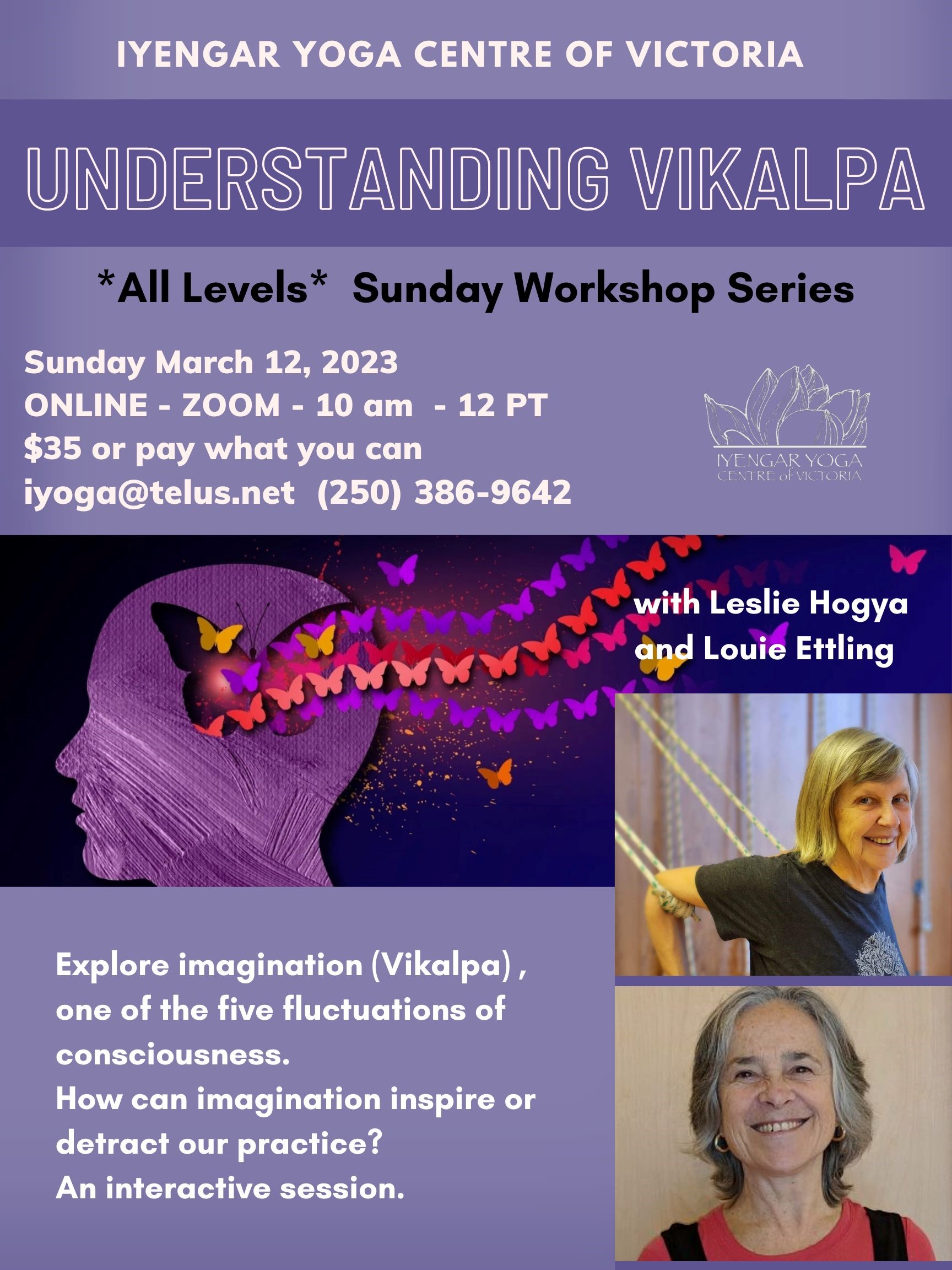Understanding Vikalpa